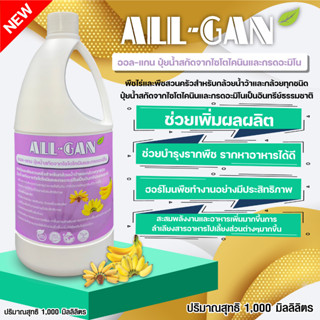 ปุ๋ยน้ำสำหรับกล้วยทุกชนิด1000ML.ผลเจริญเติบโตดีช่วยเร่งความหวานและเพิ่มสีผลผลผลิตสูงคุณภาพดีALL GANไซโตไคนิน