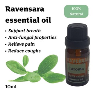 j.aroma น้ำมันหอมระเหยราเวนซารา สกัดจากธรรมชาติ 100% j.aroma Ravensara essential oil 100% Natural