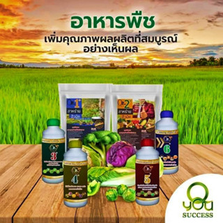 Q plants คิวแพลน (Qyou) หัวอาหารพืช สูตรเข้มข้นจบครบทุกอย่างที่พืชต้องการ ปุ๋ยทางใบ ปุ๋ยหมัก ปุ๋ยชีวภาพ