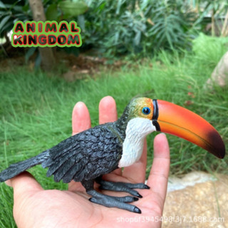 Animal Kingdom - โมเดลสัตว์ นกเงือก ขนาด 16.00 CM (จากสงขลา)