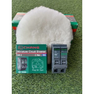 CHANG เมนเซอร์กิตเบรกเกอร์ ธรรมดา 2P 63A ลดราคา