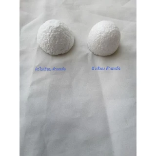 โฟม โฟมกลม โฟมกลมสำหรับงานประดิษฐ์ Round Foam for Crafts