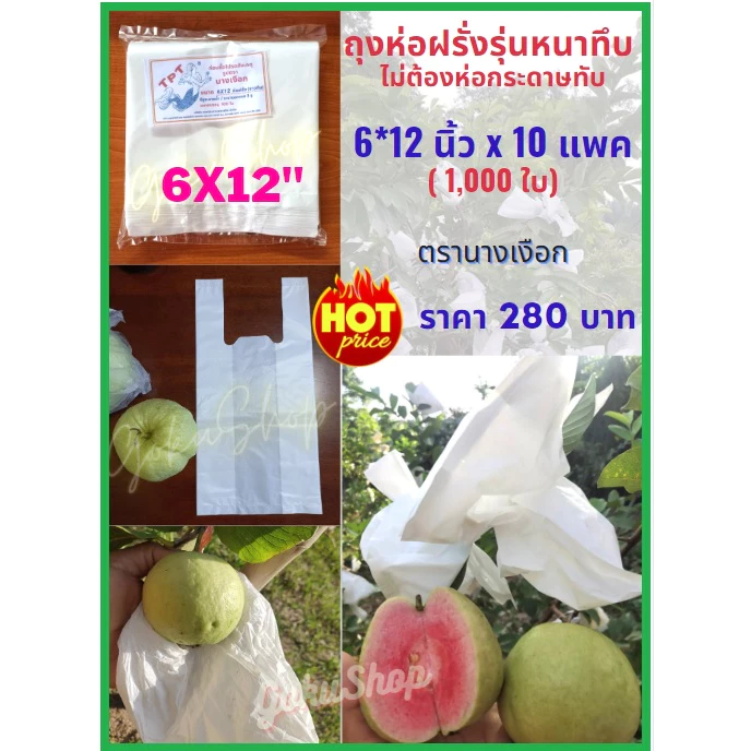 ถุงห่อฝรั่ง ห่อผลไม้ ขาวกัน UV ขนาด 6x12 นิ้ว x 10 แพค (1,000 ใบ) รุ่นหนาทึบ ไม่ต้องห่อกระดาษ มีเจาะรูระบายน้ำ พร้อมส่ง