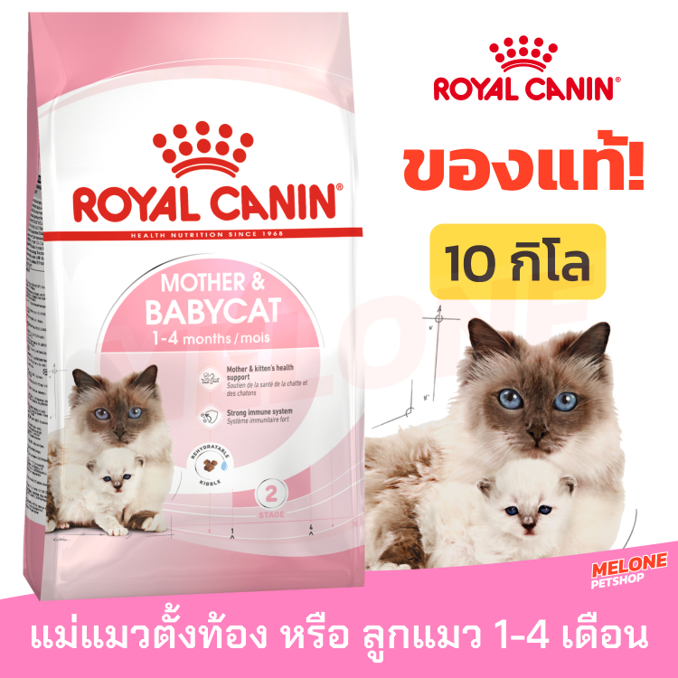 Royal Canin Babycat รอยัลคานิน อาหารลูกแมว อายุ 1-4 เดือน แม่แมวท้อง-ให้นม ขนาด 10kg