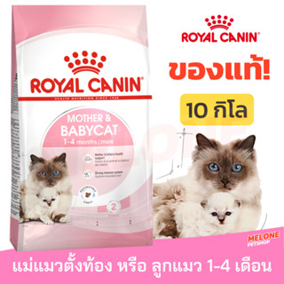 [หมดอายุ 05/2024] Royal Canin Babycat รอยัลคานิน อาหารลูกแมว อายุ 1-4 เดือน แม่แมวท้อง-ให้นม ขนาด 10kg