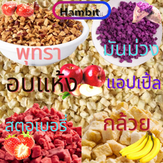 Hambit. ผลไม้อบแห้ง ขนาด 50 g. แฮมสเตอร์ขนม หนูแฮมเตอร์ กระต่าย กระรอก ชูการ์ไกรเดอร์ เม่นแคระ และ สัตว์เล็ก ผลไม้อบแห้ง