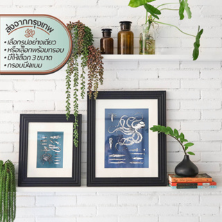 Decor Picture &amp; Frames-Sealife โปสเตอร์และกรอบ เซ็ทสัตว์ทะเล | โปสเตอร์ รูปภาพ โฟโต้ ภาพ กรอบ กรอบรูป ติด ผนัง กำแพง