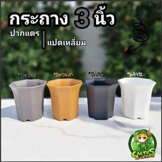 กระถาง3นิ้ว กระถาง8เหลี่ยม กระถางแคคตัส เนื้อทรายมี4สี