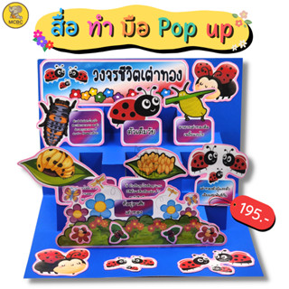 สื่อทำมือ POP-UP วงจรชีวิตเต่าทอง สื่อการสอน สื่ออนุบาล สื่อนวัตกรรม สื่อปฐมวัย สื่อการเรียน ตามหน่วย