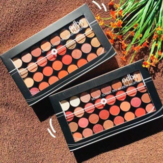 Odbo Beauty Clutch Pro Makeup Palette (OD1027)