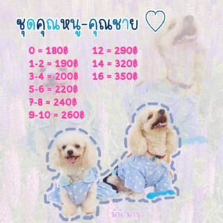 👗 กระโปรงสัตว์เลี้ยงสุนัขแมว รุ่นคุณหนู 🐱🐶