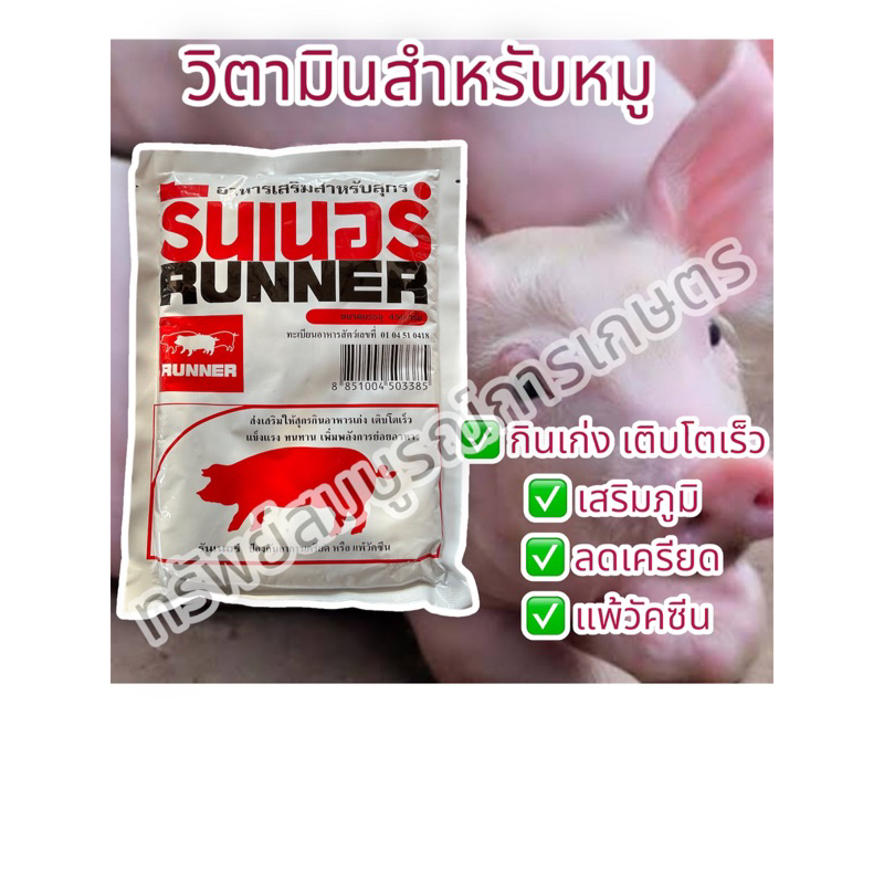รันเนอร์ RUNNER 450 กรัม วิตามินหมู โตไว อาหารเสริม