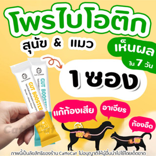 ✅เห็นผลใน7วัน✅ โพรไบโอติก สุนัขและแมว แก้ท้องเสีย ท้องผูก ท้องอืด ลำไส้อักเสบเรื้อรัง Gut Booster Sun wonder