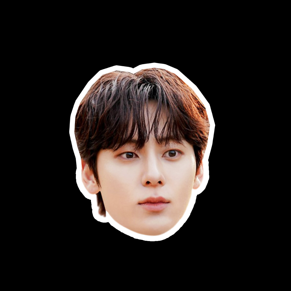 สติ๊กเกอร์กันน้ำ สติ๊กเกอร์ติดรถ แม่เหล็กติดตู้เย็น ไดคัทหน้าคน สัตว์เลี้ยง  ฮวังมินฮยอน Hwang Min H