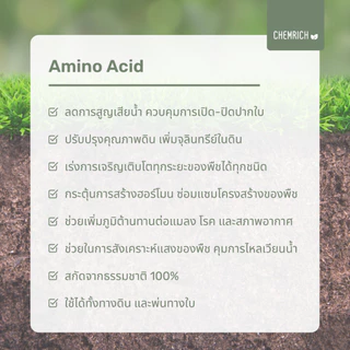 500G/1KG กรดอะมิโน อะมิโนรวม อะมิโนพืช เร่งสร้างเนื้อเยื่อ เพิ่มน้ำหนักผล ลดการคายน้ำ อะมิโน / Amino acid - Chemrich