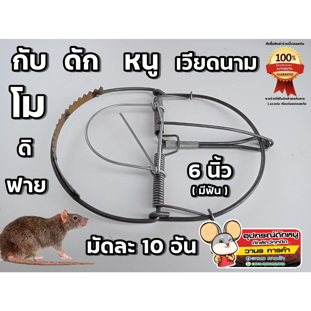 กับดักหนู โมดีฟาย 6 นิ้ว (มีฟัน) ที่ดักหนู กับเหล็ก กับวงเดือน 1มัด10ชิ้น(โมลวดขาว)