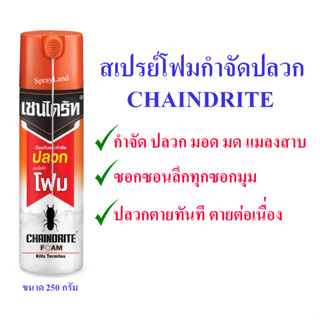 Chaindrite Foam สเปรย์ เชนไดร้ท์ โฟม สเปรย์ กำจัดปลวก ตายยกรัง ขนาด 250 กรัม [โฟม]