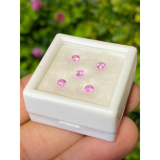 พลอย ชมพู พิ้ง แซฟไฟร์ Pink Sapphire 0.55 กะรัต (Cts.) 5 เม็ด