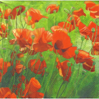 Pladao Napkin ภาพดอกไม้ ทุ่งดอกป็อปปี้ สีน้ำ Poppy กระดาษ แนพกิ้น สำหรับงานศิลปะ เดคูพาจ decoupage ขนาด L 33x33