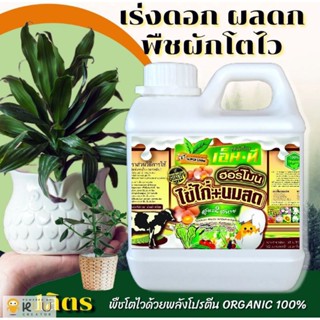 ฮอร์โมนไข่ไก่+นมสด2พลัง
เร่งการเจริญเติบโต เร่งติดดอกออกผล รสหวาน ผลโต ขนาด1ลิตร