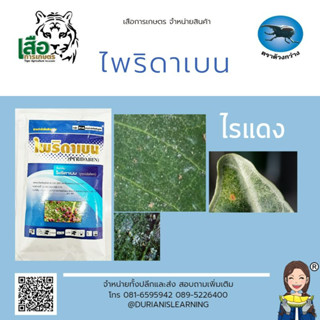 ไพริดาเบน สารกำจัดไรแดง ขนาด 100 กรัม