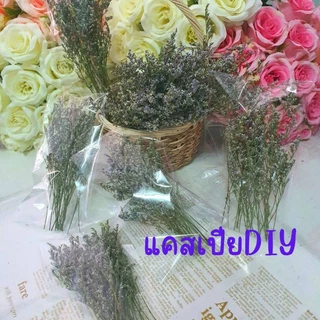 ซองละ20บาทดอกไม้แห้ง ดอกแคสเปียแห้ง ดอกสุ่ยแห้ง ดอกสเตติสแห้ง ดอกไม้แห้งหลายชนิดนำไปตกแต่งDIY