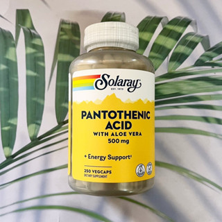 กรดแพนโทเทนิก วิตามินบี 5 Pantothenic Acid 500 mg 250 VegCaps (Solaray®) บำรุงผิว ลดสิว ลดเครียด เพิ่มการเผาผลาญ B-5 B5