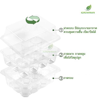 ถาดเพาะเมล็ดทรงสูง 6หลุม / 12หลุม ถาดเพาะต้นกล้า ถาดปักชำกิ่ง seedling tray พร้อมฝาบ่มระบายอากาศ ควบแน่นต้นไม้