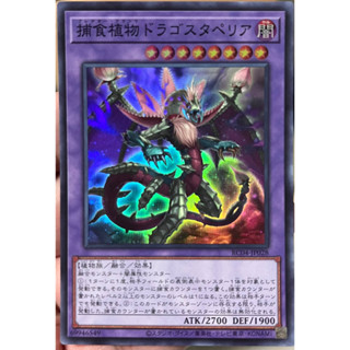 Yugioh [RC04-JP028] Predaplant Dragostapelia (Super Rare) การ์ดเกมยูกิแท้ถูกลิขสิทธิ์