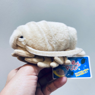 #ตุ๊กตา #ดึงสั่น #ไอโซพอด #Isopod #แมลงสาบทะเล #สัตว์แปลกๆ #ลิขสิทธิ์แท้ #ขนาด5” #ป้ายห้อย #ใครสะสมงานหายาก #รีบเลยจ้า