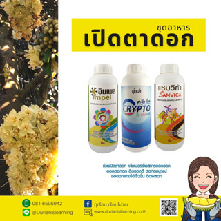 ชุดเปิดตาดอก ด้วยสาหร่ายนิวคลีโอไทด์ (สีน้ำตาล)