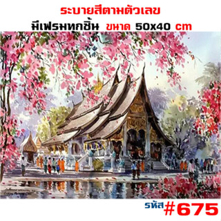 รูปวาด675 ขึงเฟรมไม้ HOME DIY สินค้าอยู่ไทยพร้อมส่ง ภาพระบายสีตามตัวเลข ขนาด40x50cm ขึงเฟรมไม้!!