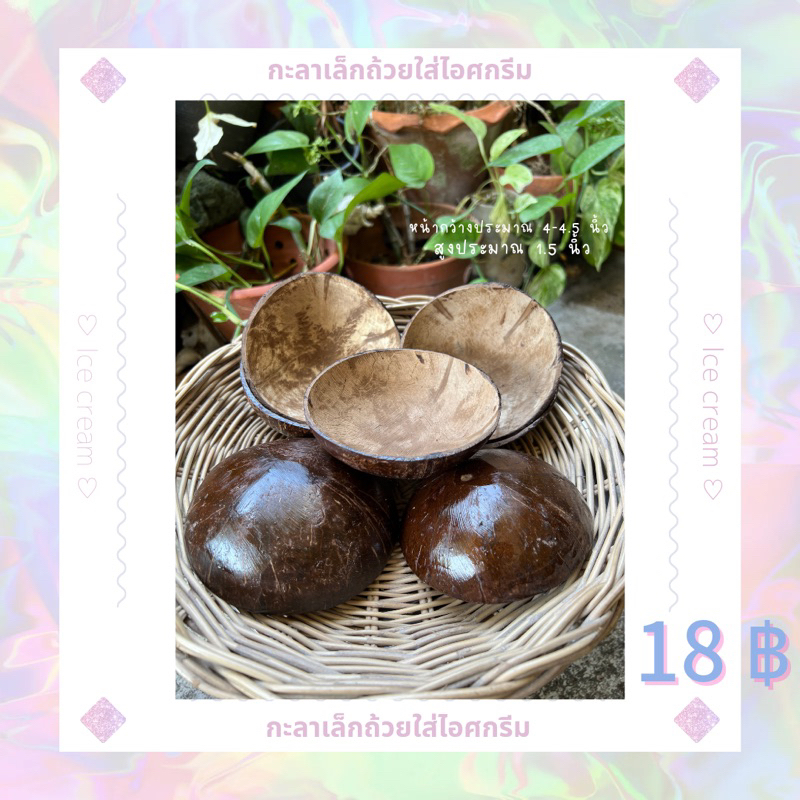 รูปภาพ 2