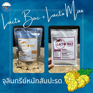 Lacto bac + Lacto max แพคคู่