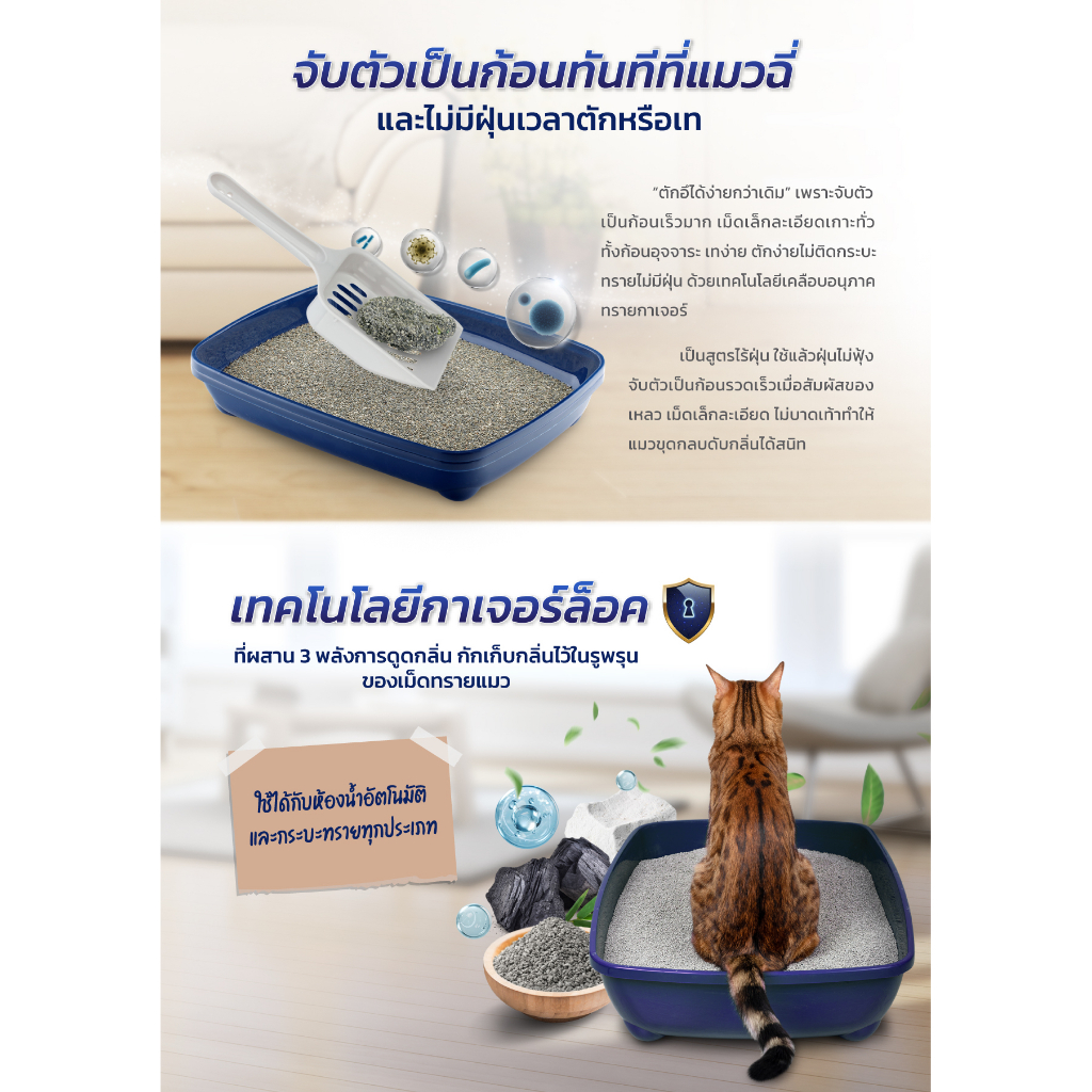 รูปภาพ 8