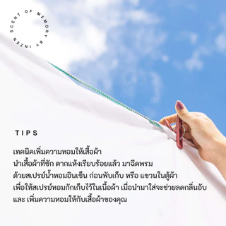 อินเซ็น สเปรย์หอม สูตรใหม่ !! กลิ่นใหม่ ใช้ฉีดเสื้อผ้า ปรับอากาศในห้อง ขนาด 120 มล.