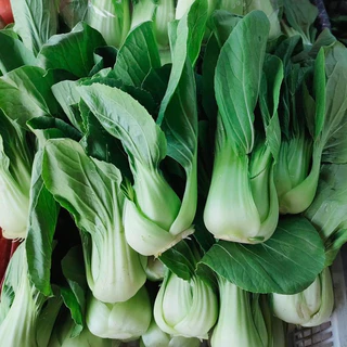 เมล็ดผักกวางตุ้งฮ่องเต้ 1000เมล็ด [ 5เเถม 1 คละได้ทั้งร้าน]