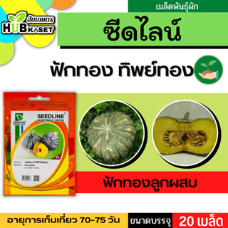 ซีดไลน์ 🇹🇭 ฟักทองลูกผสม ทิพย์ทอง ขนาดบรรจุประมาณ 20 เมล็ด อายุเก็บเกี่ยว 70-75 วัน