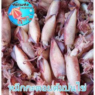 หมึกกะตอยต้ม กะตอยแดดเดียว (ปนไข่)