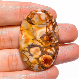 1 pc Natural Bird Eye Jasper 2-3 cm Polished Cabochon Stone / Top High Quality Stone / Jewelry Stone Healing Chakra.