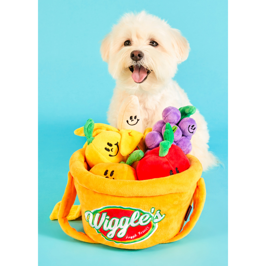 Wiggle Wiggle Nosework Toy - Basket Setcategory เซตของเล่นตะกร้าผลไม้สำหรับสัตว์เลี้ยง นำเข้าจากเกาหลี  