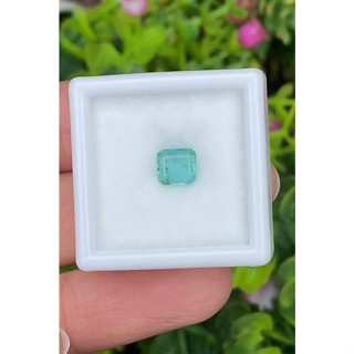 พลอย มรกต Natural Emerald แซมเบีย 0.79 กะรัต (Cts.)