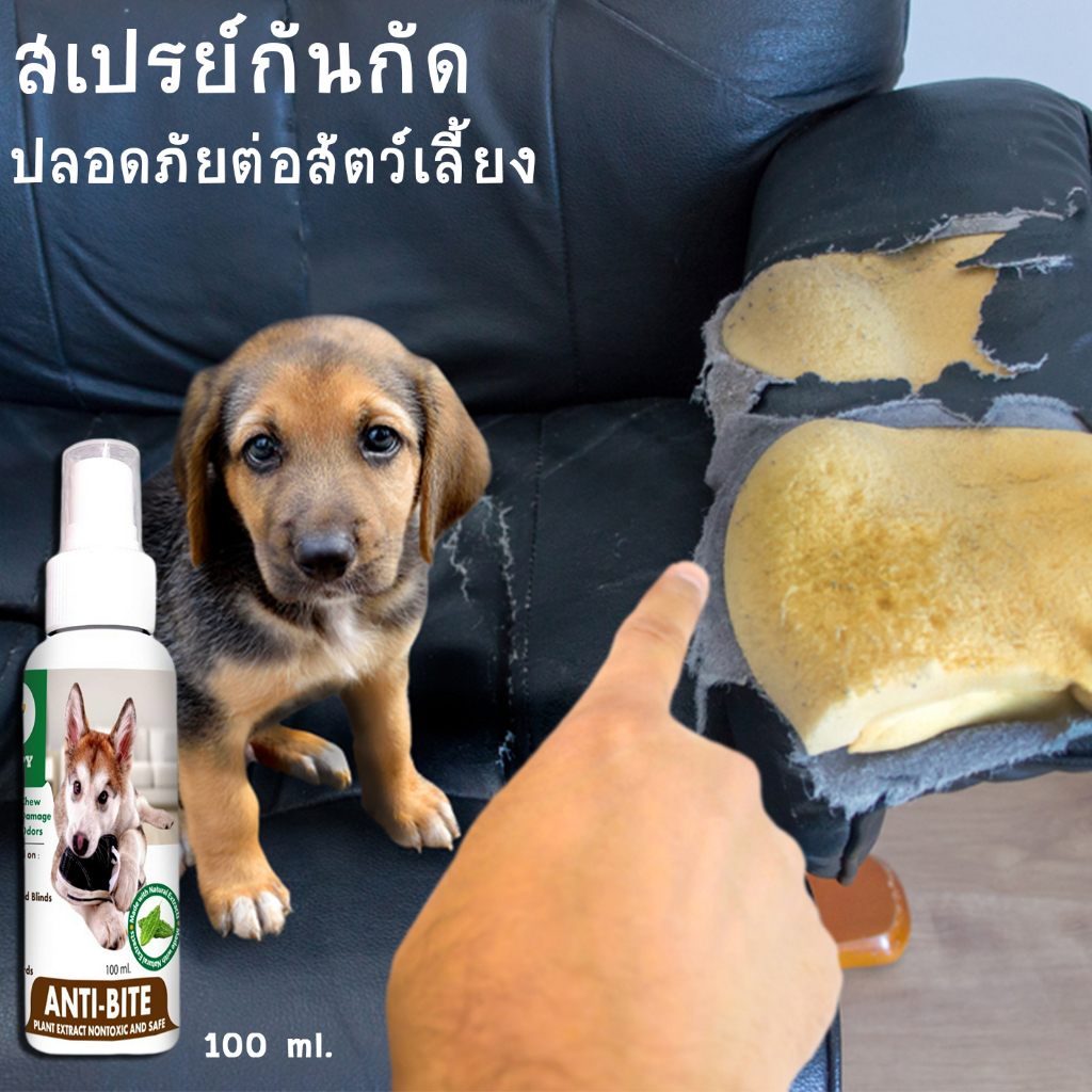 สเปรย์กันกัดแทะ รองเท้า สายไฟ เฟอนิเจอร์ เบาะรถยนต์ ผ้าม่าน ต้นไม้ ดอกไม้ ปลอดภัยต่อสัตว์เลี้ยง ผลิตจากมะระขี้นก 100 ml.