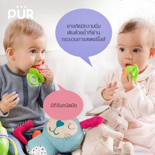 Pur ยางกัดน้ำสเตอริไลส์ แช่เย็น ลาย ผลไม้ Water Filled Teether