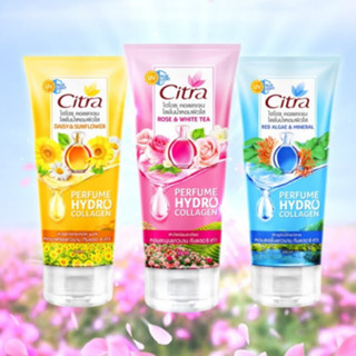 Citra Hydro Collagen Perfume Lotion 200ml