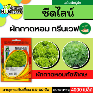 ซีดไลน์ 🇹🇭 ผักกาดหอมคัดพิเศษ กรีนเวฟ ขนาดบรรจุประมาณ 4000 เมล็ด อายุเก็บเกี่ยว 55-60 วัน