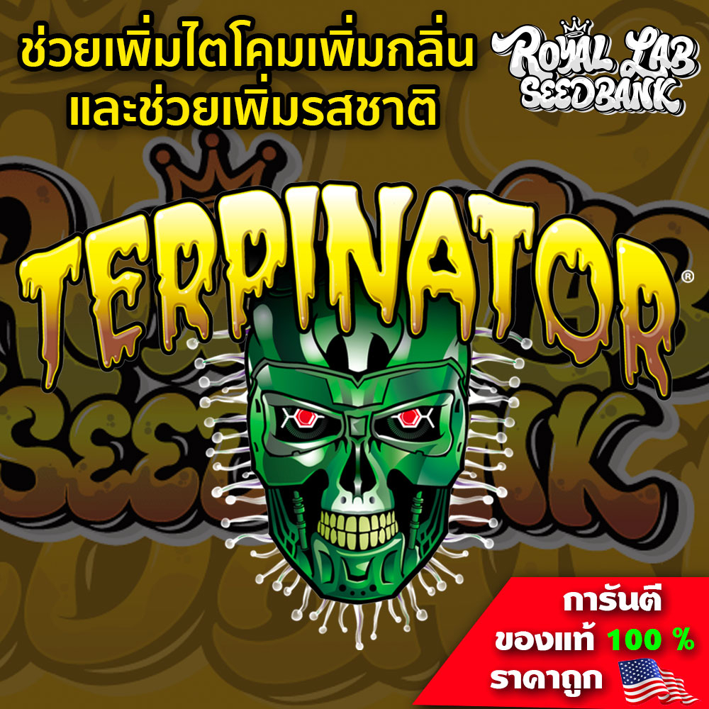 Terpinator ปุ๋ยทำดอก ช่วยเร่งไตรโคม รสชาติ กลิ่นของดอก Terpinator ปุ๋ยนอก