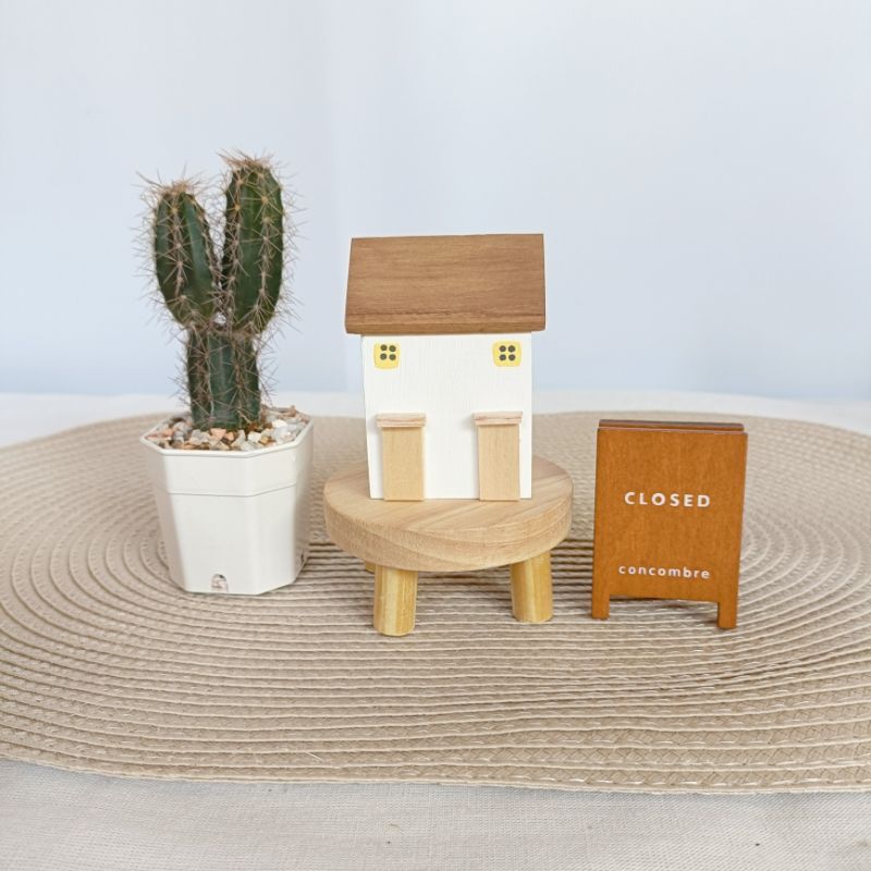 บ้านไม้จิ๋ว minimal_4289