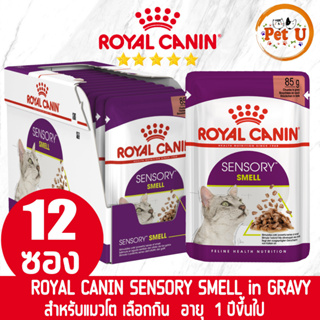 [85g x 12ซอง] Royal Canin อาหารเปียก สูตร SENSORY SMELL (GRAVE) แมวโตกินยาก อายุ 1 ปีขึ้นไป