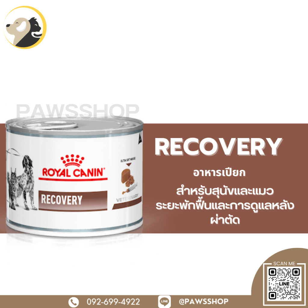 Royal Canin RECOVERY 195 g อาหารสุนัขและแมวประกอบการรักษา สำหรับระยะพักฟื้นและการดูแลหลังผ่าตัด ชนิดเปียก